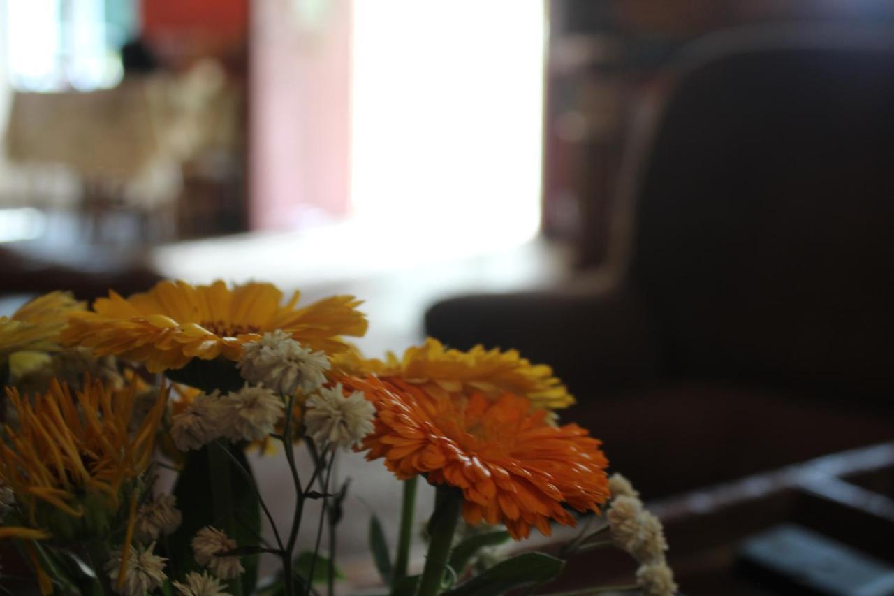 Les Cremades Bed and Breakfast Langogne Buitenkant foto
